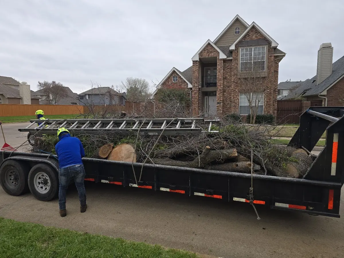 Expert Tree Fertilization with proper safety equipment in Dale